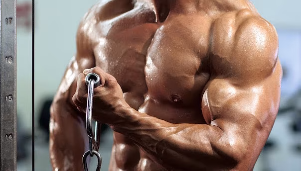 6 Anzeichen, dass dein Armworkout schlecht ist! 6 Anzeichen, dass dein Armworkout schlecht ist!