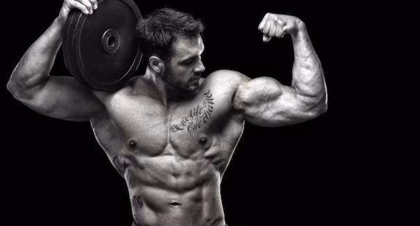 Die wichtigsten 5 Fakten über Protein!