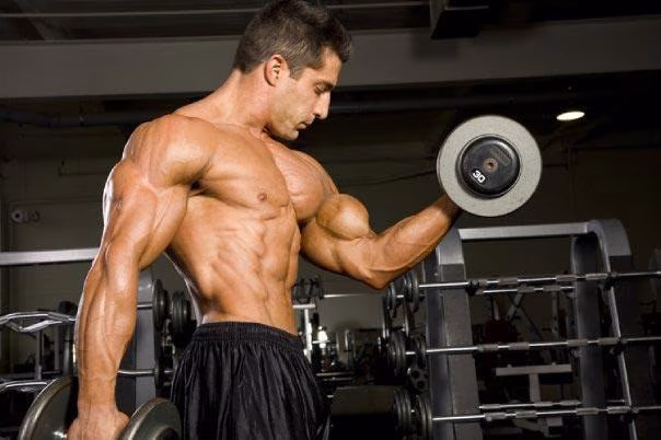 Muskelaufbau durch höhere Trainingsintensität: 3 Tipps für mehr Qualitätsmasse Muskelaufbau durch höhere Trainingsintensität: 3 Tipps für mehr Qualitätsmasse