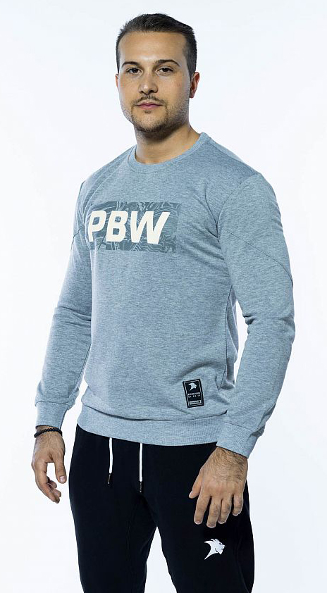 ProBroWear Crewneck GREY