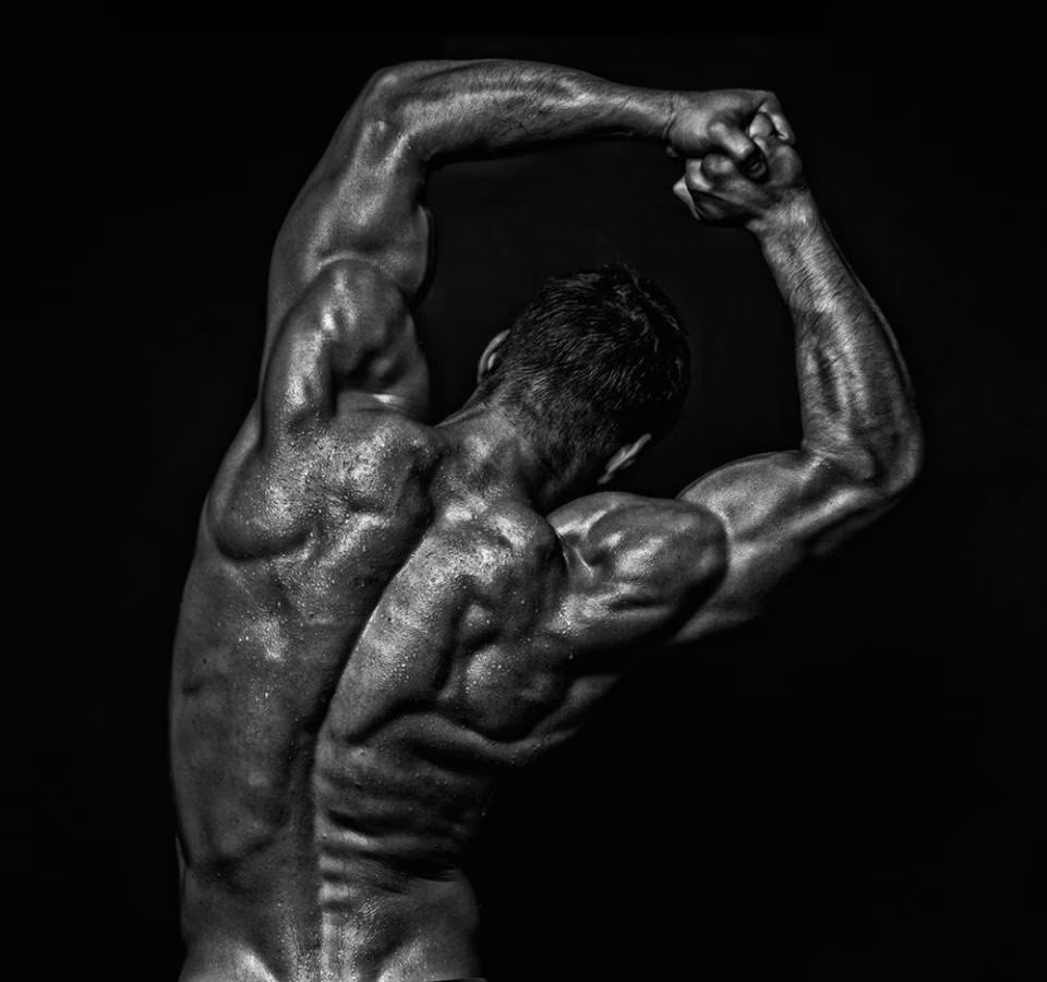 Myostatinblocker für ungehindertes Muskelwachstum! Myostatinblocker für ungehindertes Muskelwachstum!