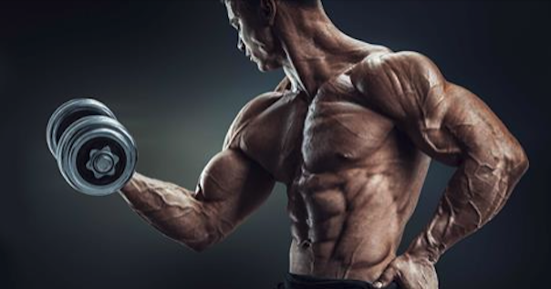 Diese Umstellung im Training wird deine Ansicht zum Muskelkaufbau für immer verändern