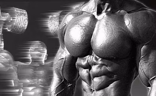 Protein-Timing – Kann es uns egal sein wie wir unser Protein aufnehmen? Protein-Timing – Kann es uns egal sein wie wir unser Protein aufnehmen?