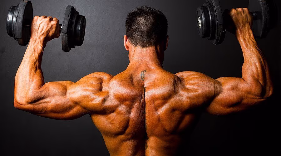 Die drei wichtigsten Dinge über Protein Die drei wichtigsten Dinge über Protein