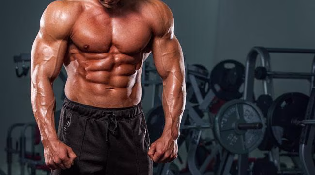 Der PERFEKTE Trainingsplan – Die Basics Der PERFEKTE Trainingsplan – Die Basics
