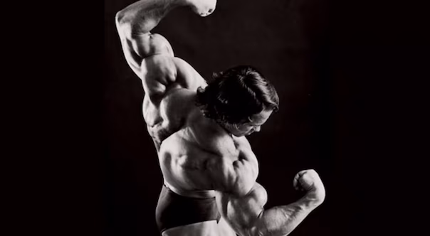 Arnolds 5 Super-Tipps zum Schultertraining! Arnolds 5 Super-Tipps zum Schultertraining!
