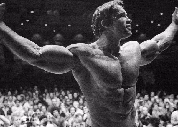 Motivation zum Erfolg: The 6 RULES OF SUCCESS! Motivation zum Erfolg: The 6 RULES OF SUCCESS!