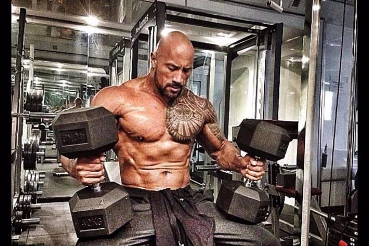 Beast Mode: Werde das größte Tier im Gym! Beast Mode: Werde das größte Tier im Gym!