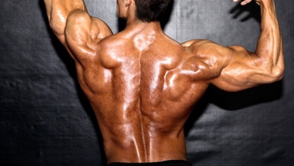 Muskelaufbau: Die 3 besten Rückenübungen!