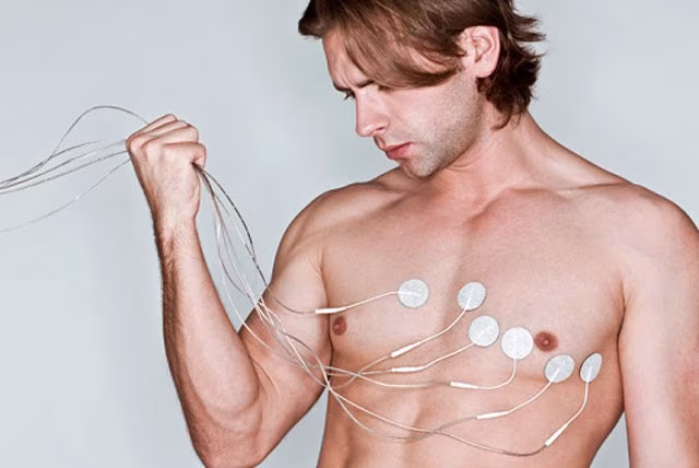 Wie reagieren Muskeln auf elektrische Muskelstimulation ?