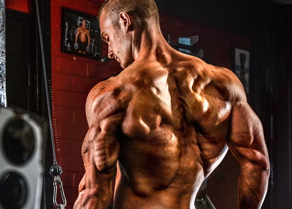 Spezial-Workout: So bekommst du eine Rückseite für die dich andere beneiden werden! Spezial-Workout: So bekommst du eine Rückseite für die dich andere beneiden werden!