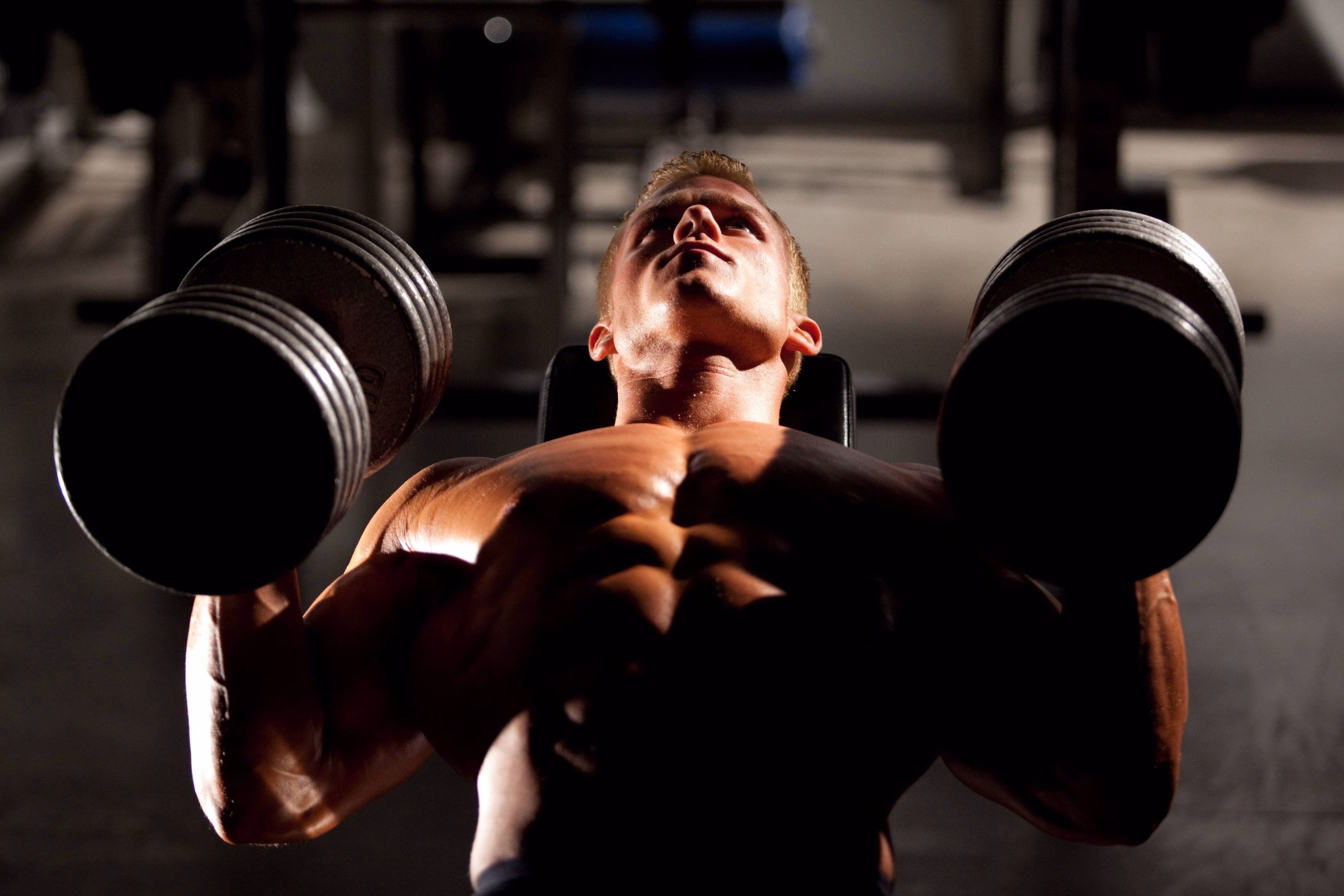 Kraftaufbau: 5 Gründe für Stagnation & Tipps gegen Plateaus Kraftaufbau: 5 Gründe für Stagnation & Tipps gegen Plateaus