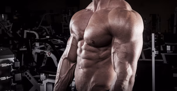 Sollte ich Anfängern im Gym helfen - JA oder NEIN? Sollte ich Anfängern im Gym helfen - JA oder NEIN?