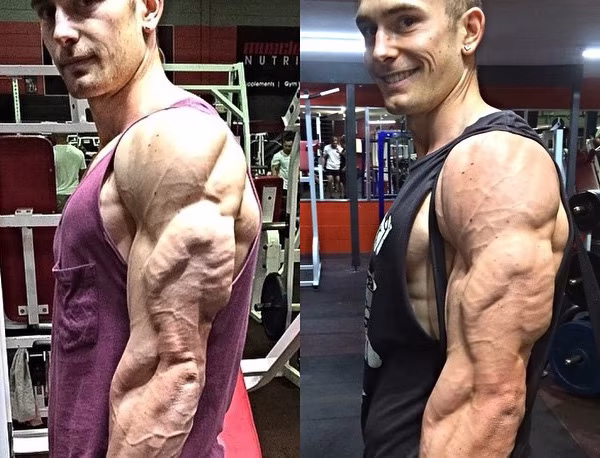 Die Holiday-Diät: Für maximal „shredded“ X-Mas Tage! Die Holiday-Diät: Für maximal „shredded“ X-Mas Tage!