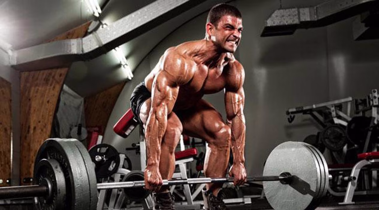 Das perfekte Workout: Die Anleitung Das perfekte Workout: Die Anleitung