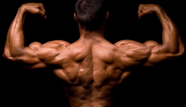 5 Übungen für einen extrem muskulösen Lat!
