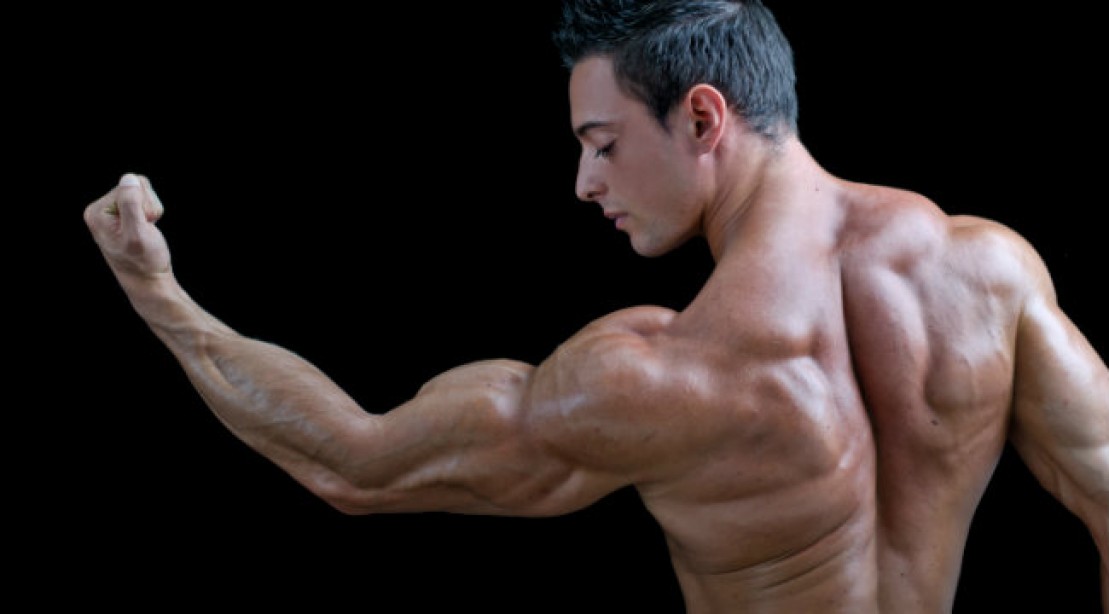5 Dinge die du unbedingt bei deinem Arm-Training beachten solltest
