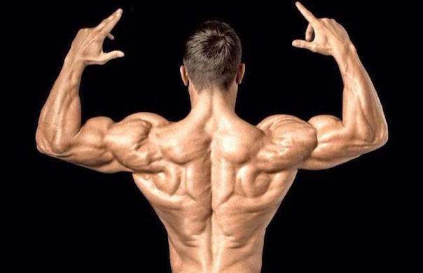 Muskelaufbau: 4 schreckliche Fehler die zum Abbau deiner Muskulatur führen!