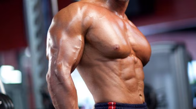 Bulk or Cut: Erst abnehmen oder aufbauen? Bulk or Cut: Erst abnehmen oder aufbauen?