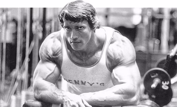 8 legendäre Erfolgsregeln von Arnold Schwarzenegger! 8 legendäre Erfolgsregeln von Arnold Schwarzenegger!