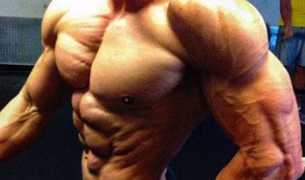 Die wichtigsten Eckpunkte einer perfekten Fitness Planung Die wichtigsten Eckpunkte einer perfekten Fitness Planung