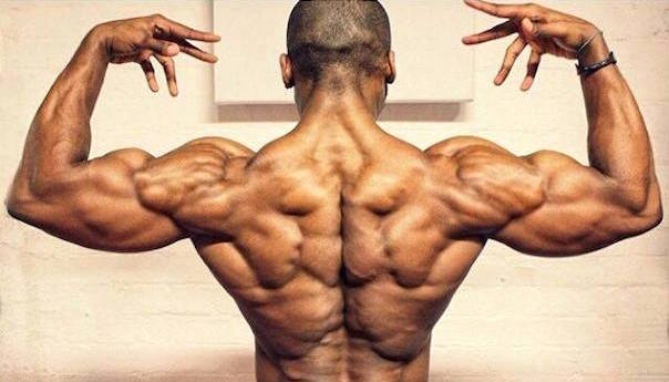 Muskelaufbau des Rückens: Die 4 besten Ruderübungen!