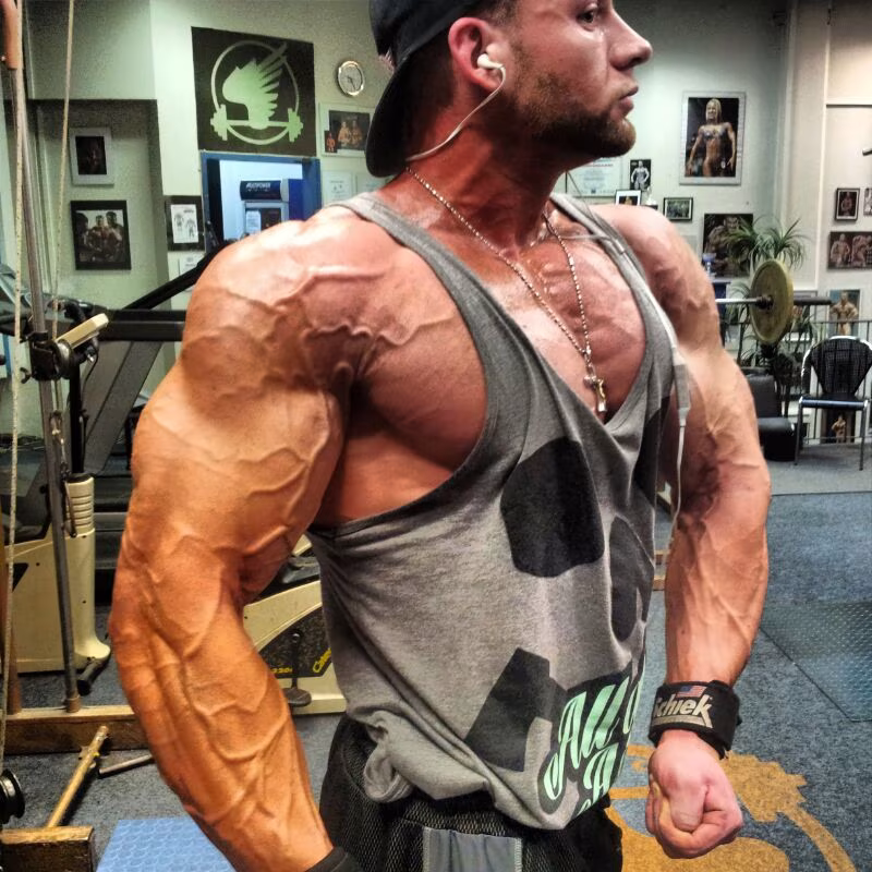 Get shredded mit den richtigen Lebensmitteln Get shredded mit den richtigen Lebensmitteln