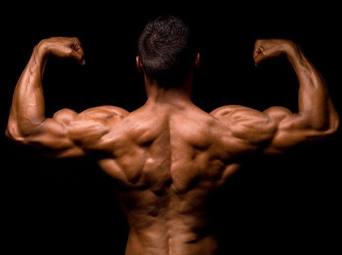 Die 6 beliebtesten Ausreden warum das Muskelwachstum ohne Erfolg bleibt!