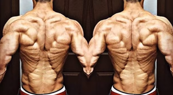 Unsere Top 5 Übungen für einen brutalen Rücken! Unsere Top 5 Übungen für einen brutalen Rücken!