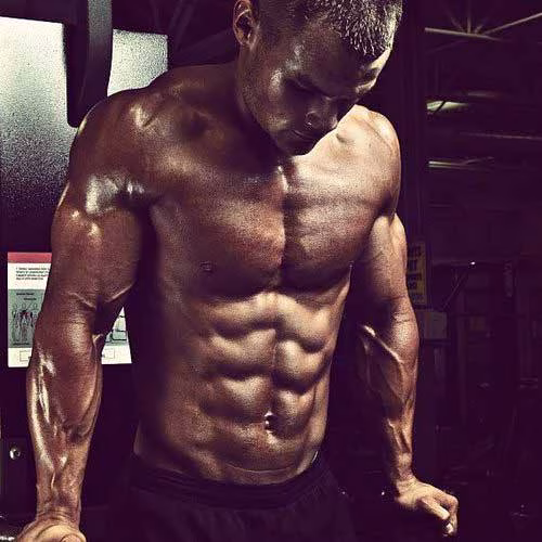 Der richtige Einnahmezeitpunkt für Protein, Kohlenhydrate und Fett Teil 1/2: Die Theorie Der richtige Einnahmezeitpunkt für Protein, Kohlenhydrate und Fett Teil 1/2: Die Theorie