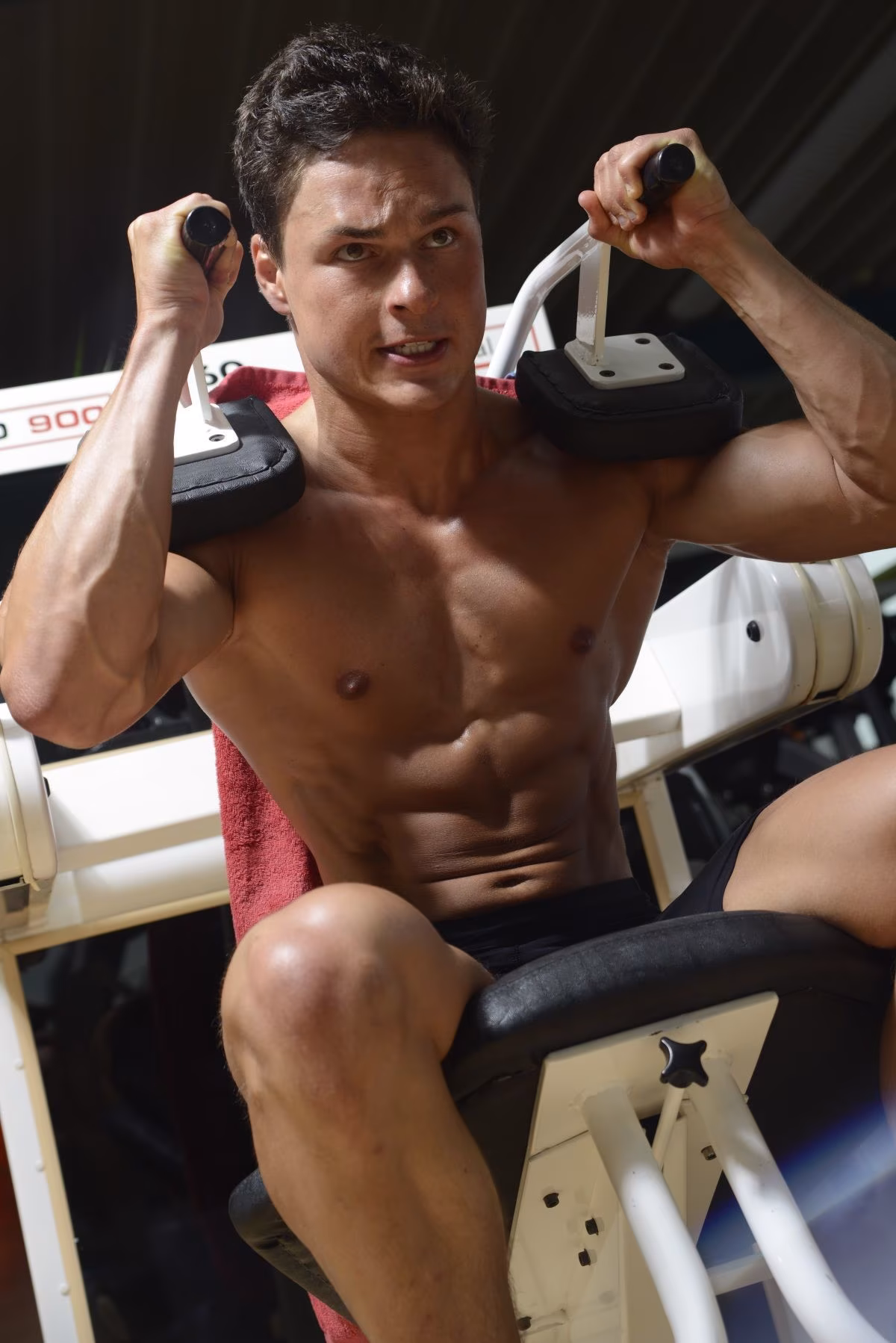 Haben High-Protein-Diäten wirklich Vorteile für Kraft und Muskelmasse?