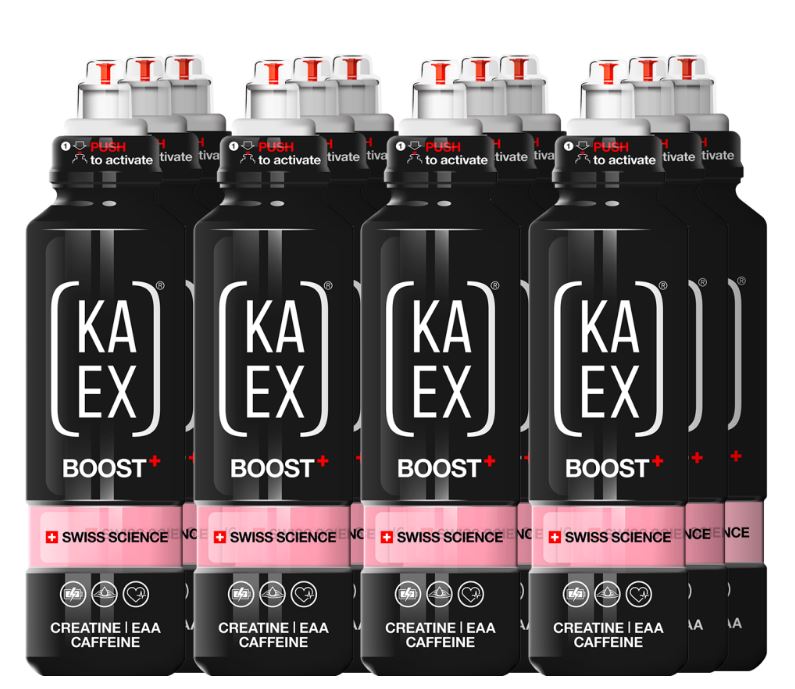 KAEX Go Boost (12 x 460ml) | Blaubeere-Zitrus | 8751-22