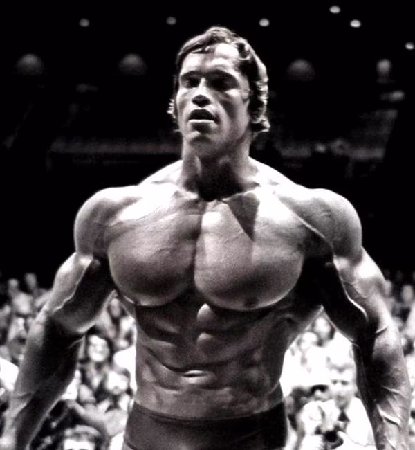 Trainingsplan und Ernährungsplan des legendären Arnold Schwarzeneggers Trainingsplan und Ernährungsplan des legendären Arnold Schwarzeneggers
