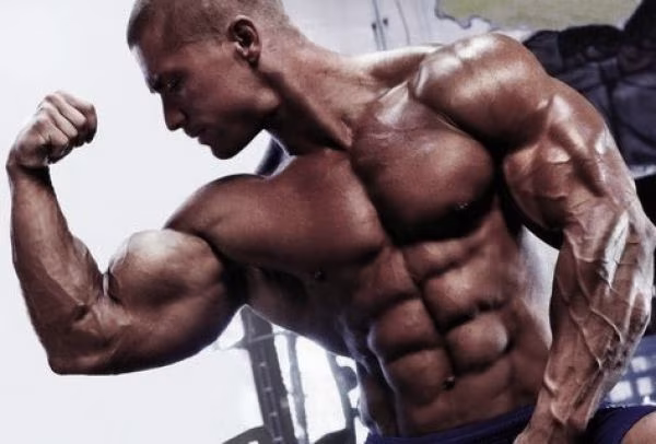 Das Trainingsprinzip des instinktiven Trainings