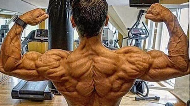 Sind Fitness-Youtuber auf Anabolika? - Teil 2
