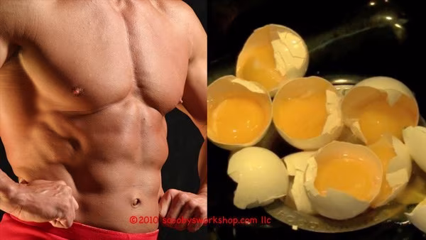 Die Osterfeiertage: 4 Tipps für den Fitnessfreak! Die Osterfeiertage: 4 Tipps für den Fitnessfreak!