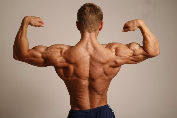 Dieser Trainingsplan für breite Lats bringt dein Shirt zum platzen! Dieser Trainingsplan für breite Lats bringt dein Shirt zum platzen!