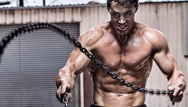 5 Tipps für eine maximale Leistung! 5 Tipps für eine maximale Leistung!