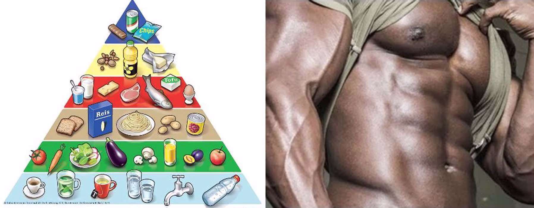 Die Lebensmittelpyramide: Sinn und Nutzen Die Lebensmittelpyramide: Sinn und Nutzen
