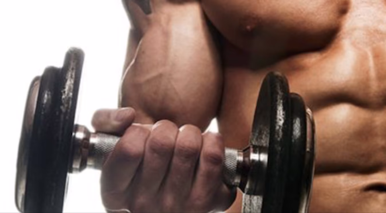 Kohlenhydrate im Fitnesssport Teil I: Die 20 wichtigsten Tipps! Kohlenhydrate im Fitnesssport Teil I: Die 20 wichtigsten Tipps!