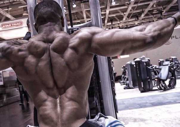 Die Top 3 Rückenübungen für den Muskelaufbau!