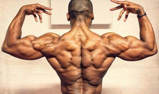 Durch „Rudern“ zu einem muskulösen Rücken!